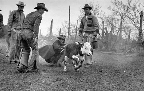 Cowboys: See Vintage LIFE Photos of American Cowboys