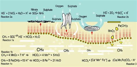 Anaerobic Oxidation Of Methane Buried Gas Hydrates White Slabs And Download Scientific