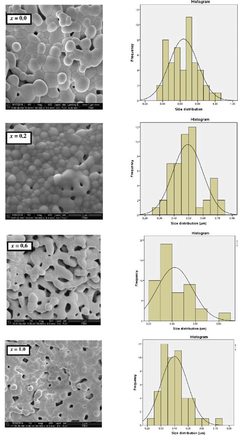 Fesem Images And Size Distribution Histogram For Y Fe X Al X O