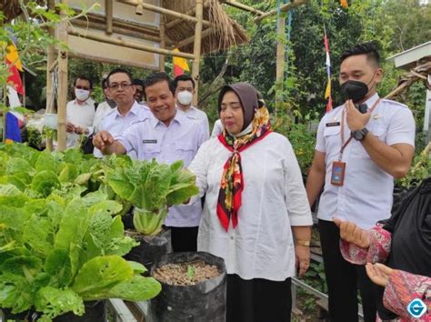 Amankan Stok Pangan Keluarga Wabup Sumiatun Panen Sayur Di P2l Lebah