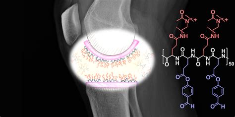 Hairy Lubricious And Tissue Reactive Polymers Department Of