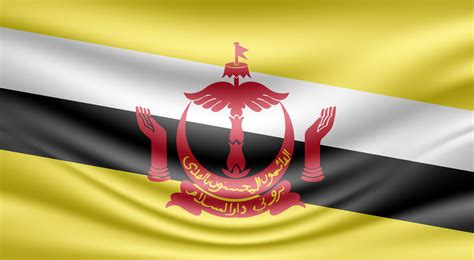 Brunei darussalam wavy nation flag vector background design 28632439 ...