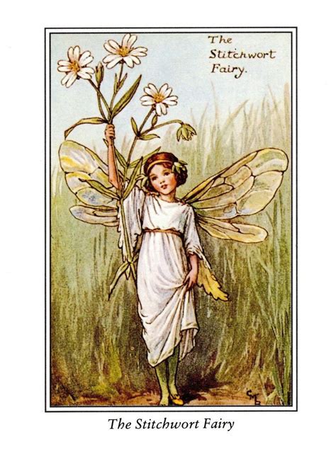 Flower Fairies Of The Spring Cicely Mary Barker Wood Sorrel Fairy