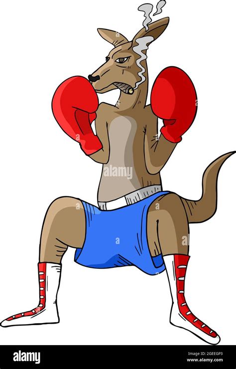 Kangaroo Boxing Stock Vector Images Alamy