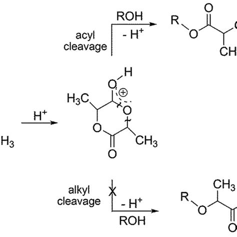 Pdf Activated Monomer Mechanism Amm In Cationic Ring Opening