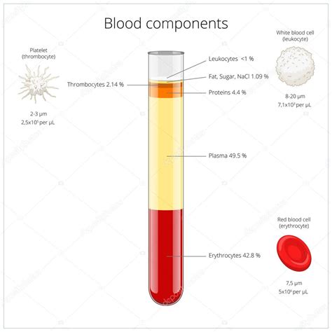 Blood Components Medical Vector Illustration Stock Vector Image By