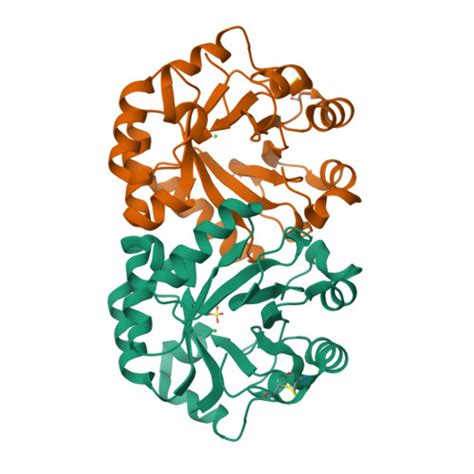 Rcsb Pdb Df Crystal Structure Of Orotidine Monophosphate