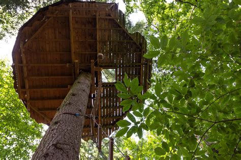 Cabane Ecureuil Les Cabanes De Labrousse