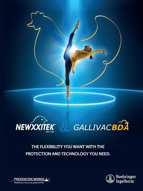 Gallivac Bda Landing Page Poultry Health South Africa