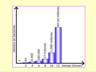 Las Bacterias Ppt