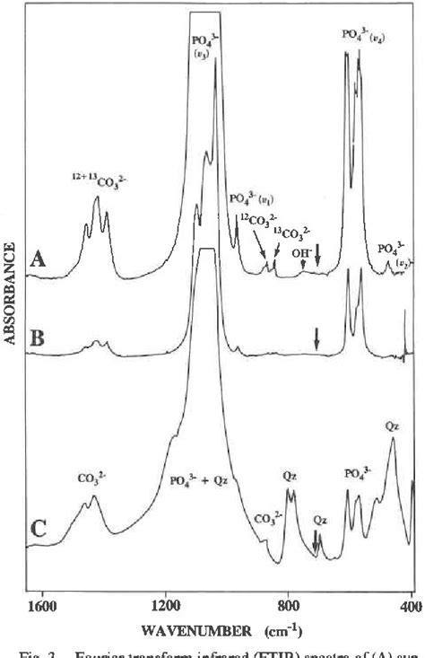 Figure 3 From Mechanism Of CO3 Substitution In Carbonate Fluorapatite