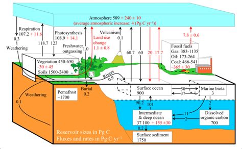 Simplified Diagram Of The Global Carbon Cycle Numbers Denote