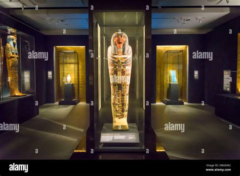 Mummy in the painted sarcophagus, The Egyptian Gallery in Chau Chak ...