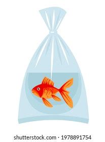 Aquarium Goldfish Plastic Bag Water Pinup Stock Illustration