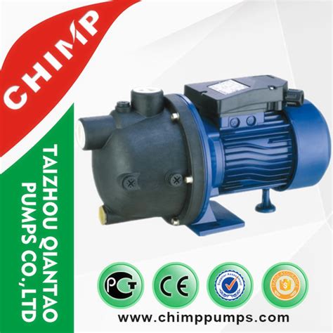 China High Pressure Single Phase Clean Water Garden Pump China Boster