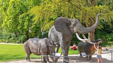 Que faire autour de Dijon en famille découvertes et activités pour