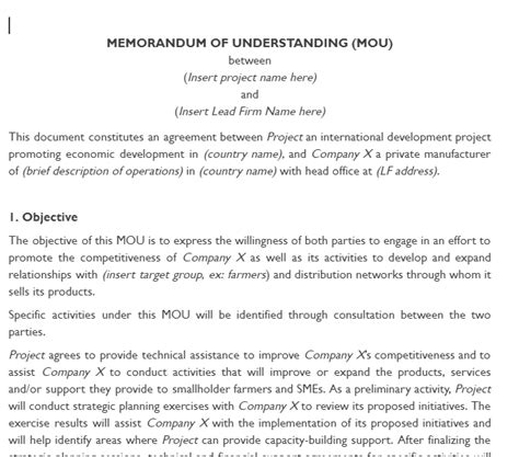 Example Memorandum Of Understanding MOU With Lead Firm