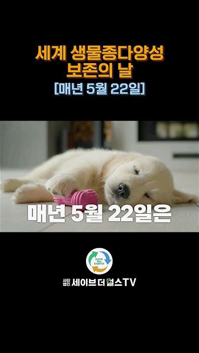 세계 생물종다양성 보존의 날 매년 5월 22일 Youtube