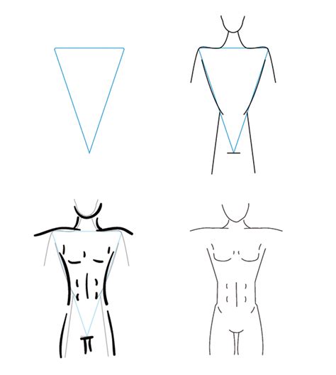 How To Draw Different Body Types For Males And Females