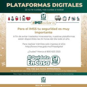 Alta En El Imss Todo Lo Que Necesitas Saber Diario Nacional