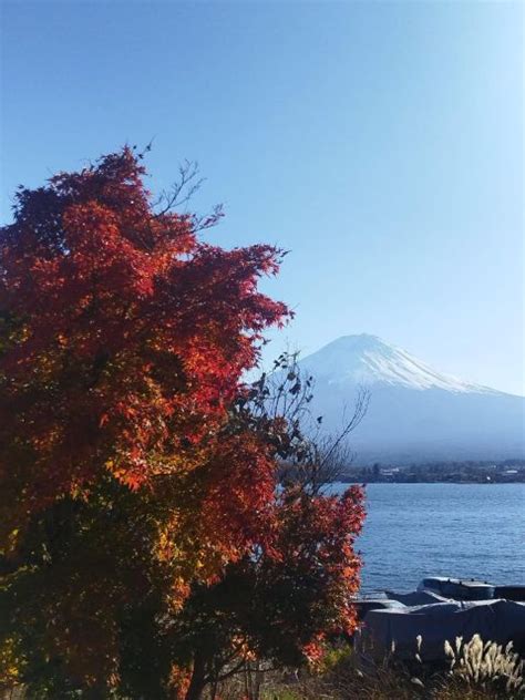 Mount Fuji Lake Kawaguchi Private Tour With Bilingual Driver