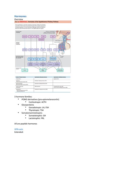 Hormonen En Homeostase HC3 2 Hormones Overview 3 Hormone Families