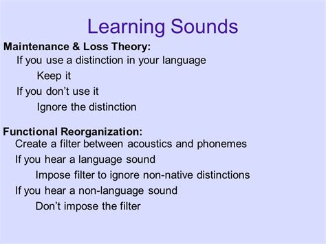 Psych A Ling Acquisition Of Language Ii Midterm