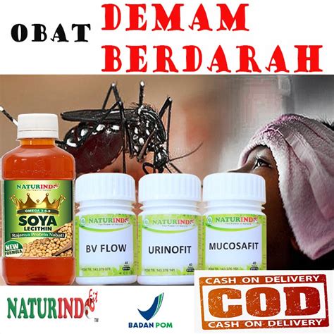 Jual Obat Herbal Demam Berdarah Malaria Dbd Demam Berdarah Naturindo