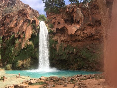 Havasu Falls Havasupai Grand Canyon National Park Az Grand Canyon