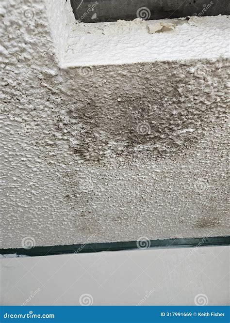 Molded Bathroom Ceiling Mildew from Leaking Sky Light Stock Image