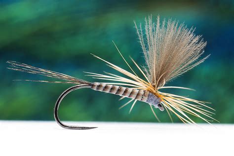 Classic Dry Flies Fly Tying