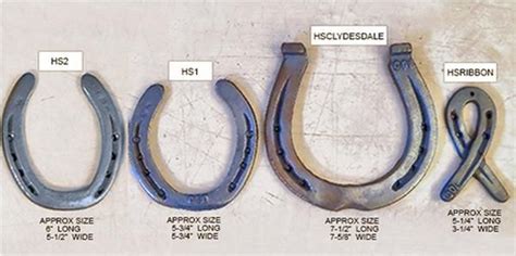 Horseshoe Décor Sizes | Horseshoe decor, Horseshoe, Horseshoes for sale