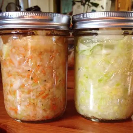 Fermentation Explanation: The Science of Sauerkraut | Bambu Batu