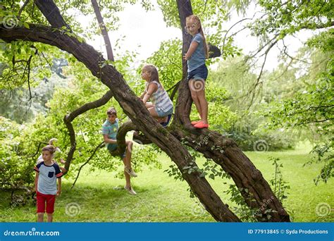 Happy Kids Climbing Up Tree In Summer Park Stock Image Image Of