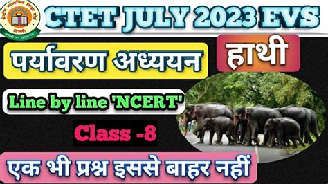 Ctet Evs July Preparation Ctet Evs Chapter Elephant By Sachin