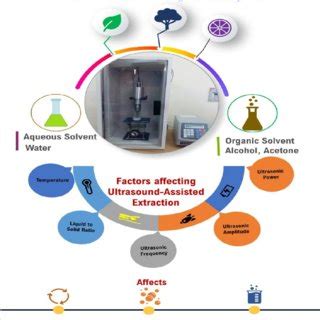 Various Dimensions Of Ultrasound Assisted Extraction Of Bioactive