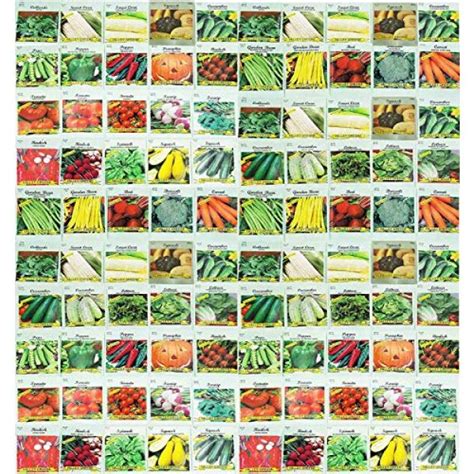 100 Assorted Heirloom Vegetable Seeds 100% Non-GMO (100, Deluxe Assorted Vegetable Seeds) - The ...