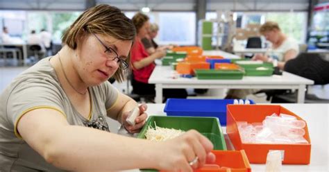 Meer Organisaties Creëren Banen Voor Mensen Met Beperking Vereniging