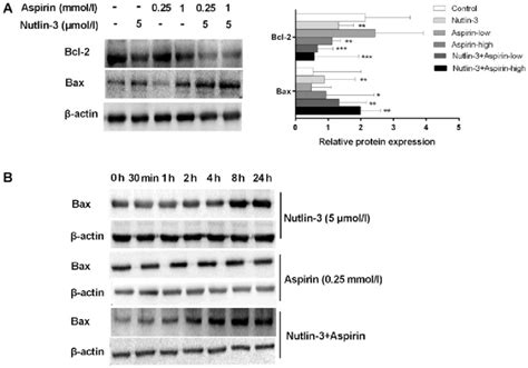 A The Expression Of Bax Were Detect In Six Groups Hepg2 Cells Hepg2