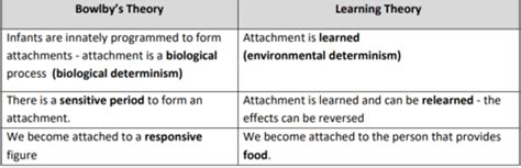 Psychology Attachment Flashcards Quizlet