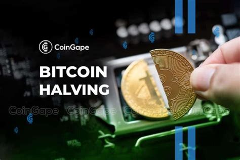 Bitcoin Cash Price Up After Halving Bitcoin Halving Hype Grows