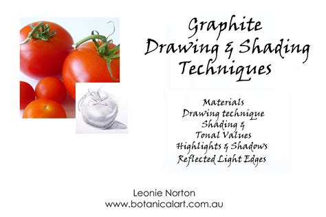 Graphite Drawing and Shading Techniques | Leonie Norton | Botanical Art