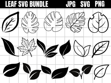 Leaf Svg Bundle Leaves Svg Bundle Leaf Clipart Leaf Svg Cut Files