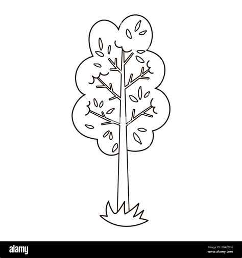 Vector Black And White Garden Or Forest Tree Outline Spring Woodland