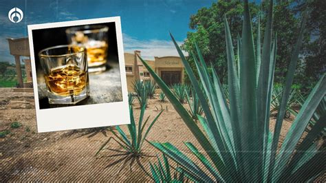 Fan Del Tequila Esta Es La Forma Correcta De Catar Esta Bebida