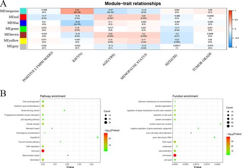 Gene And Lncrna Co Expression Network Analysis Reveals Novel Cerna