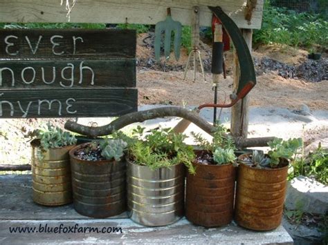 Tin Can Planters; recycling, out of the box