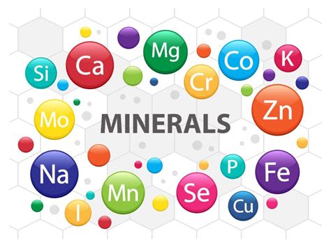 15 Important Minerals That Our Body Needs Nutrabay Magazine