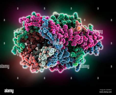 Mscl Ion Channel Protein Structure Molecular Model Showing The Protein