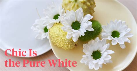 Chrysanthemum Chic — The Perfect White Mum For Easter